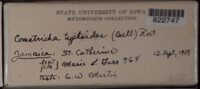 Image Associated With the Occurence
